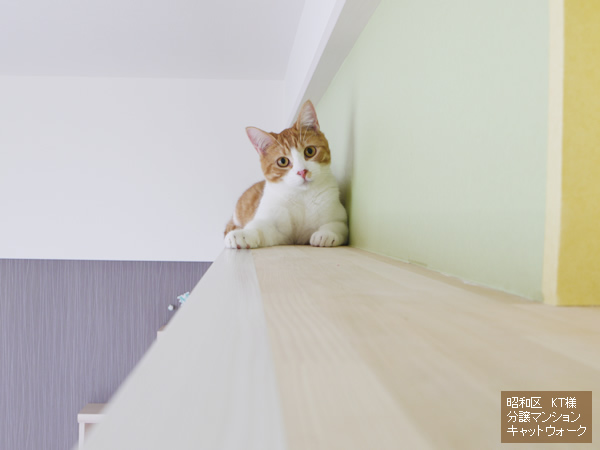 昭和区 KT様 分譲マンション キャットウォーク