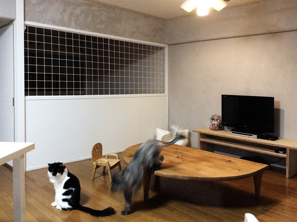 photo07